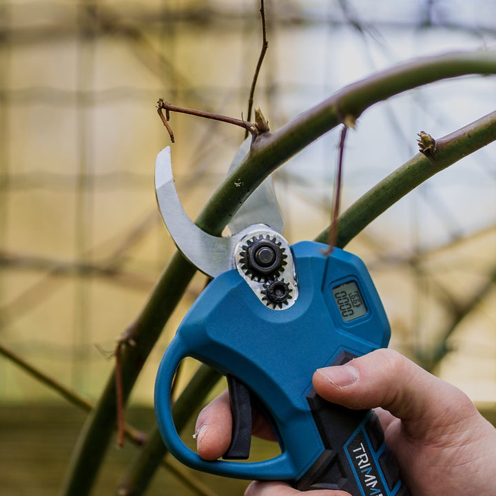 Losse Snoeimessen (ensemble) 