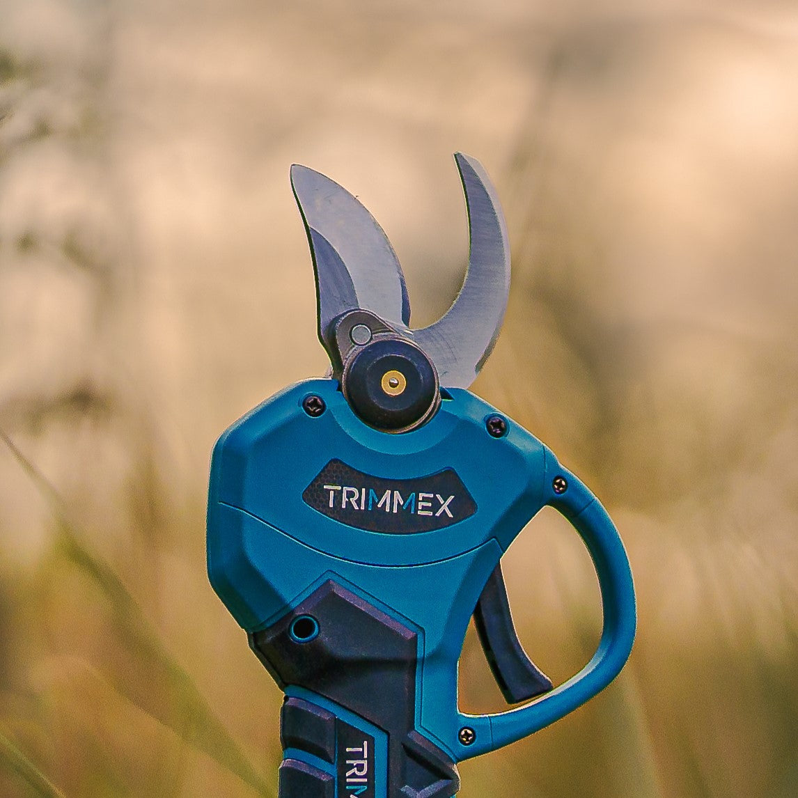 Losse Snoeimessen (ensemble) 